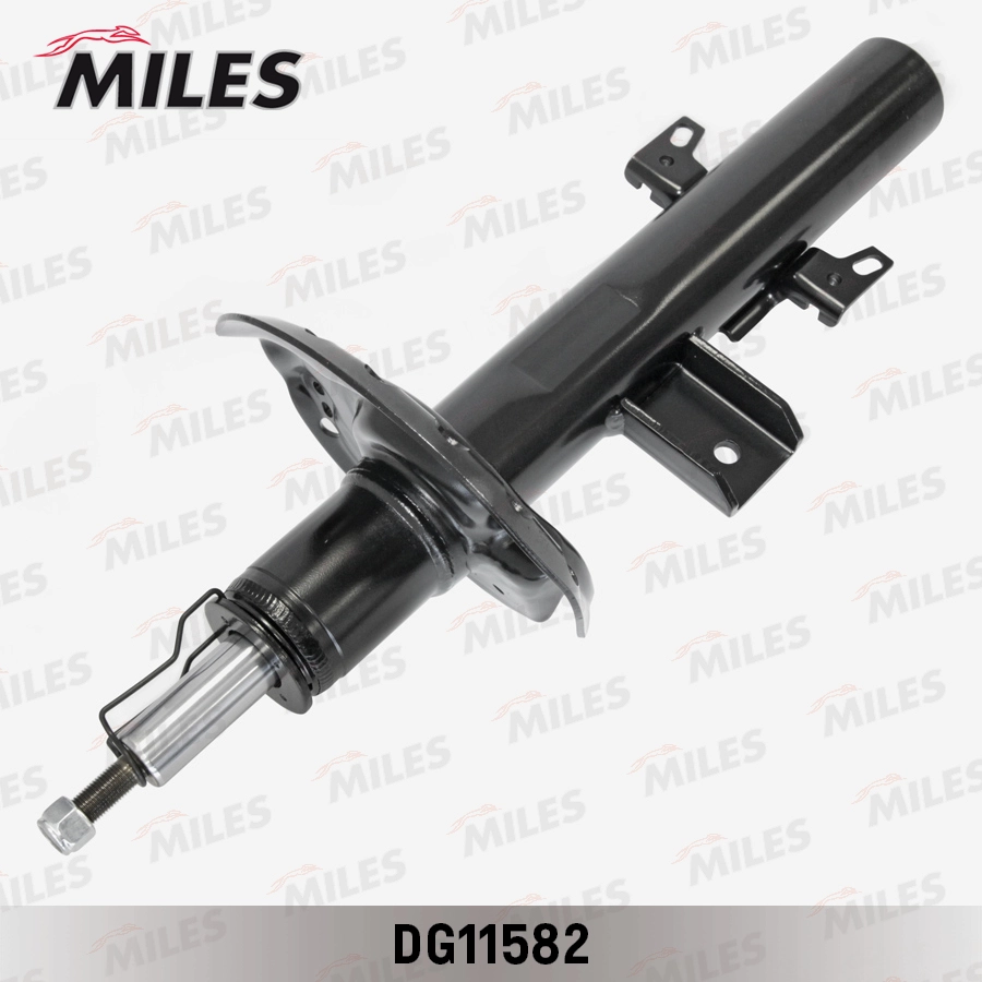 DG11582