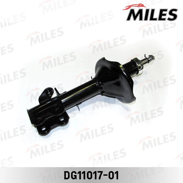 DG11017-01