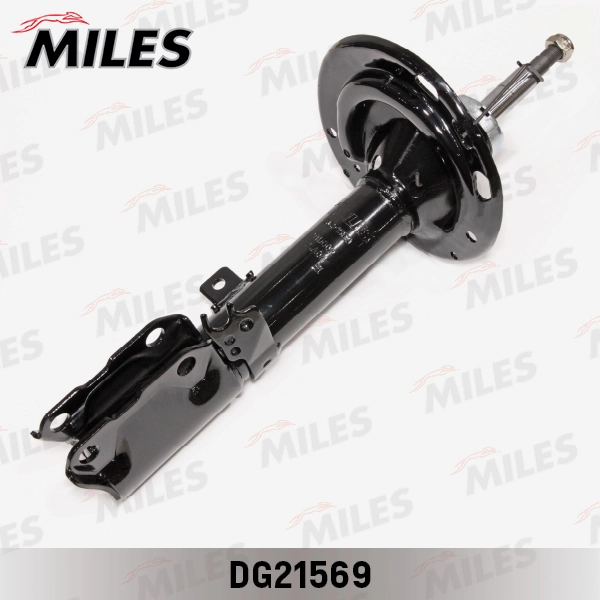 DG21569