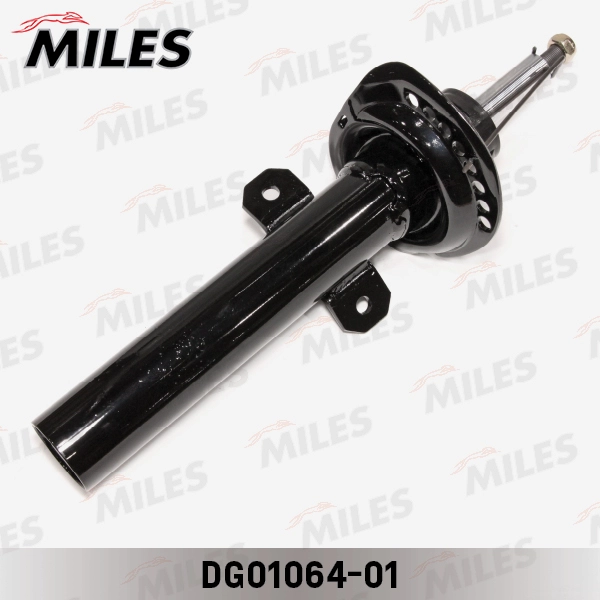 DG01064-01
