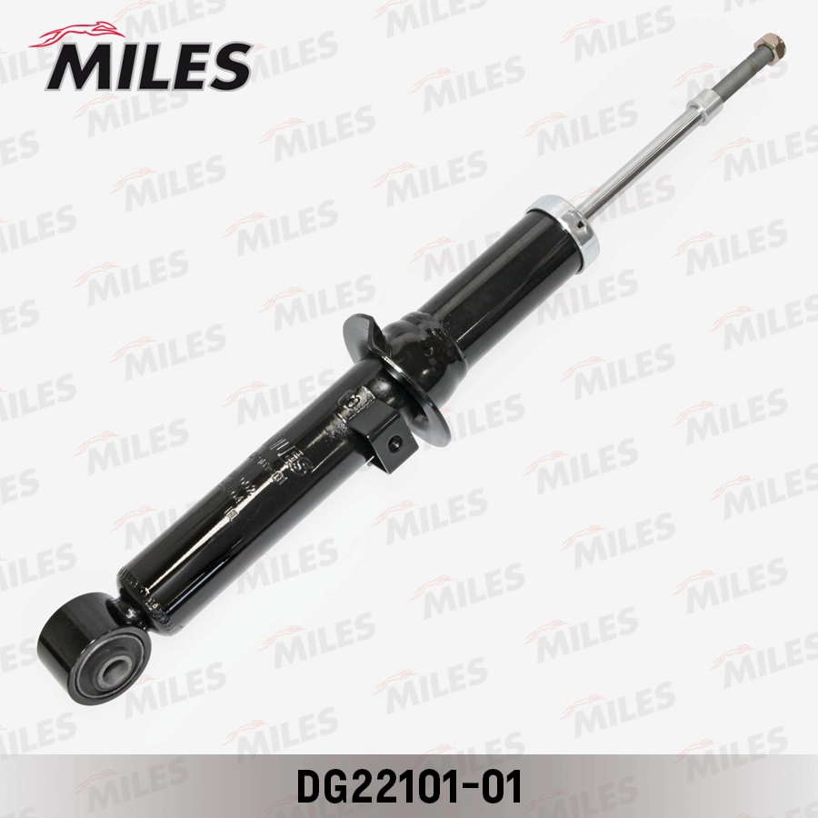DG22101-01