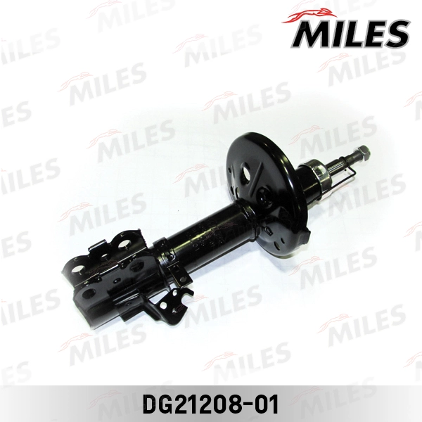 DG21208-01