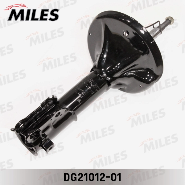 DG21012-01