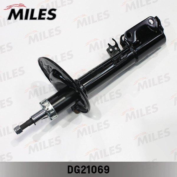DG21069