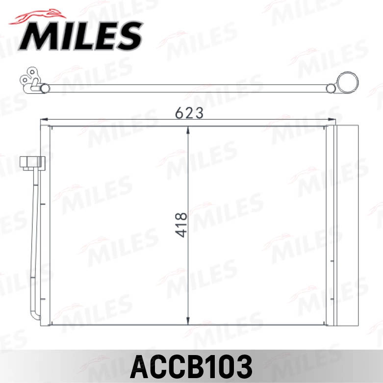 ACCB103