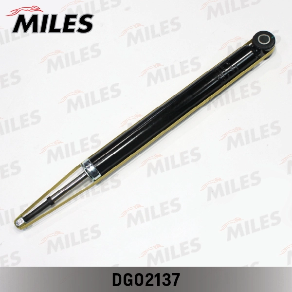 DG02137