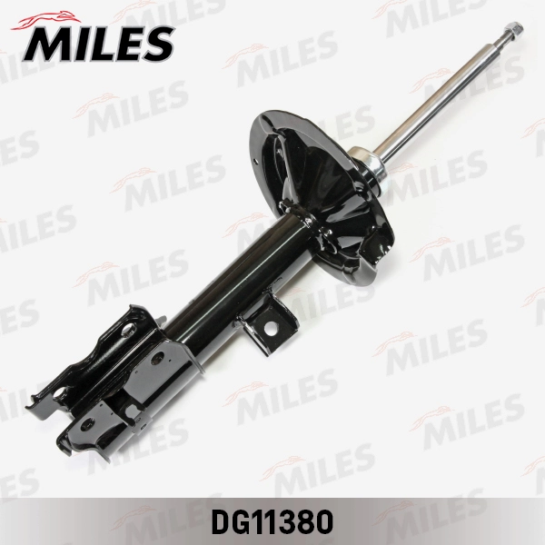 DG11380