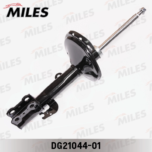 DG21044-01