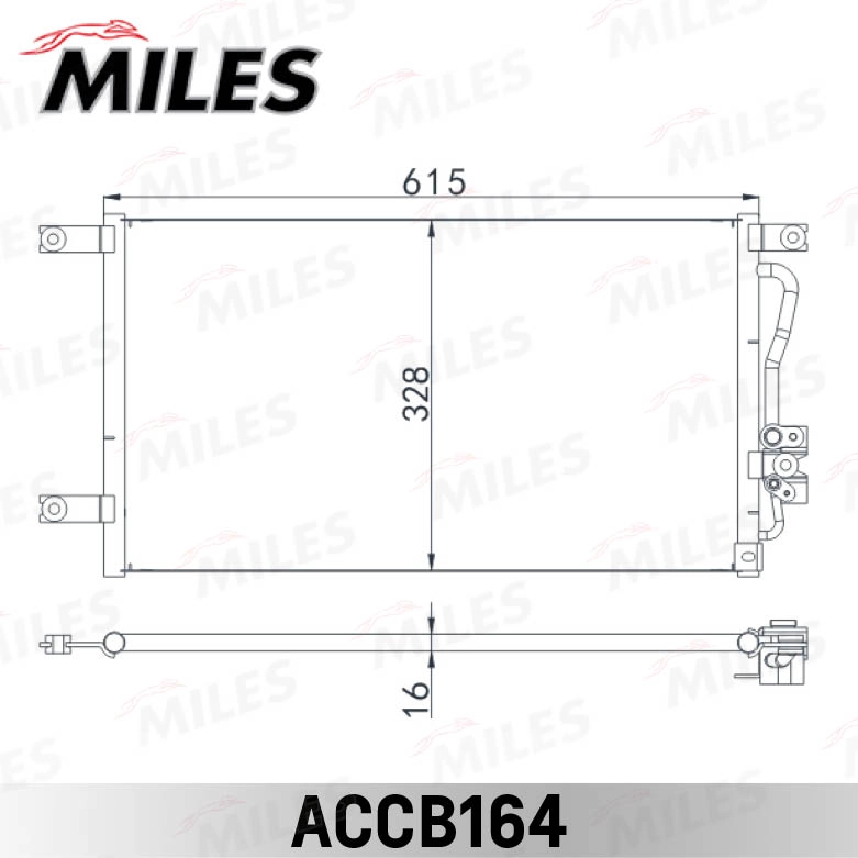 ACCB164