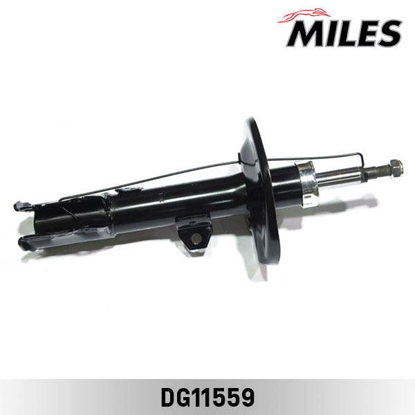 DG11559