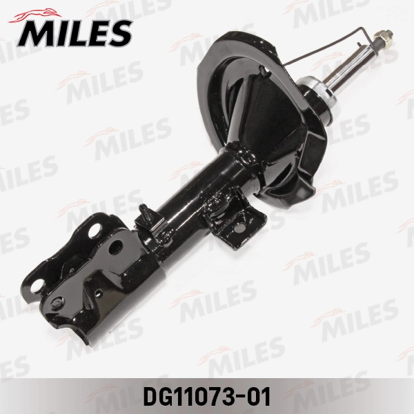 DG11073-01