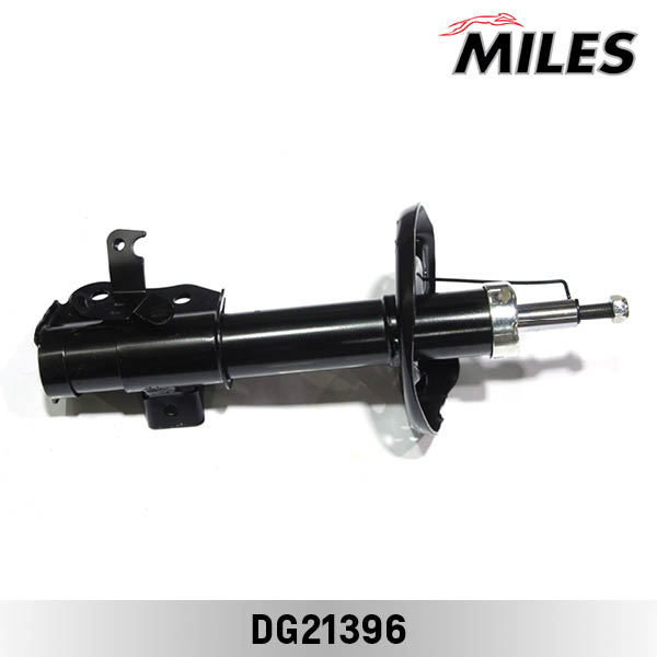 DG21396
