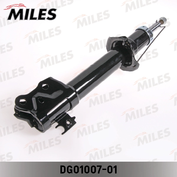 DG01007-01