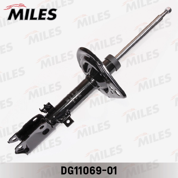 DG11069-01