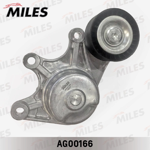 AG00166