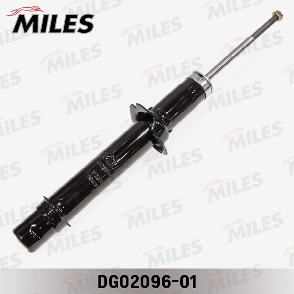 DG02096-01