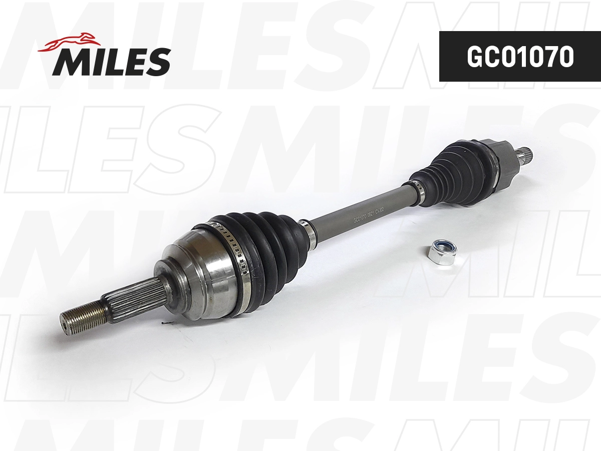 GC01070