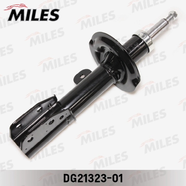 DG21323-01