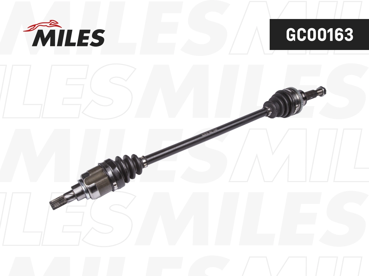 GC00163