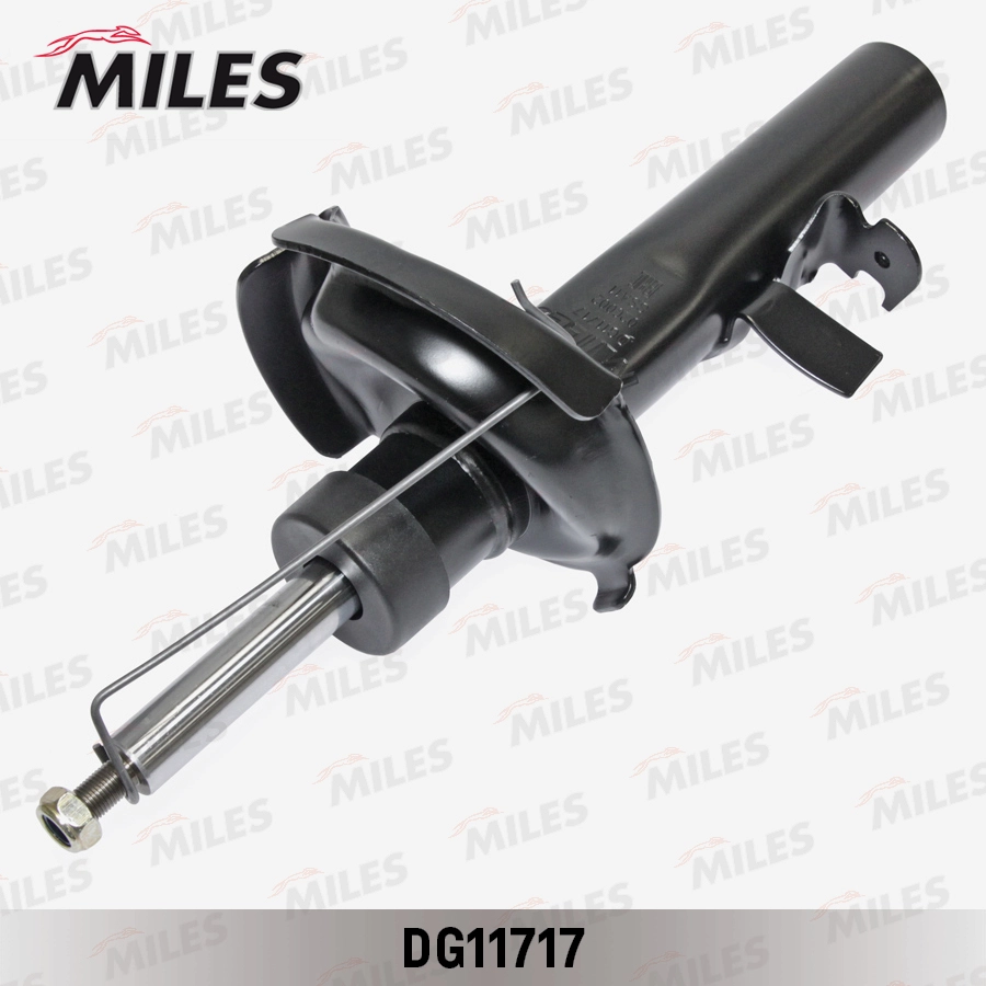 DG11717