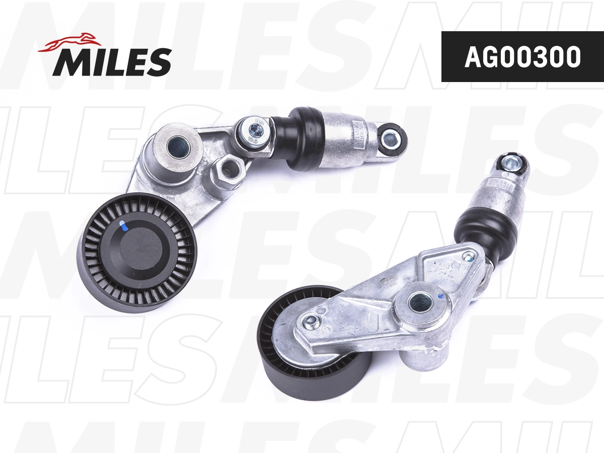 AG00300