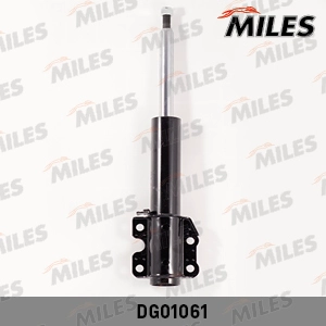 DG01061