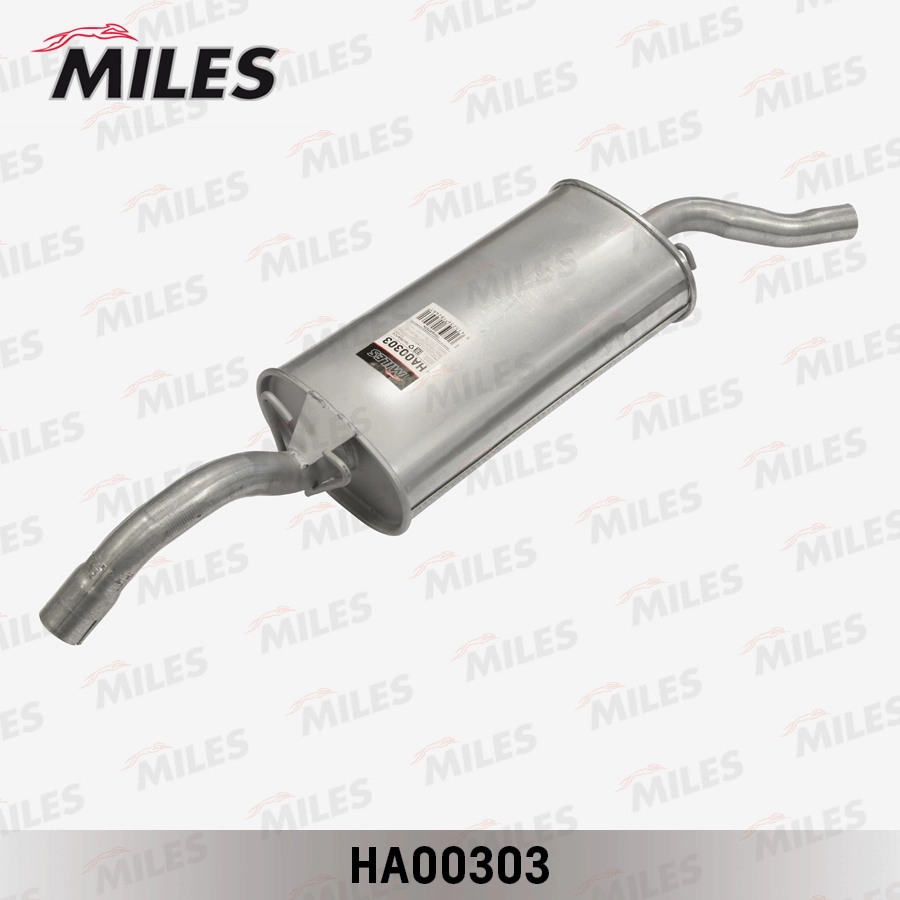 HA00303