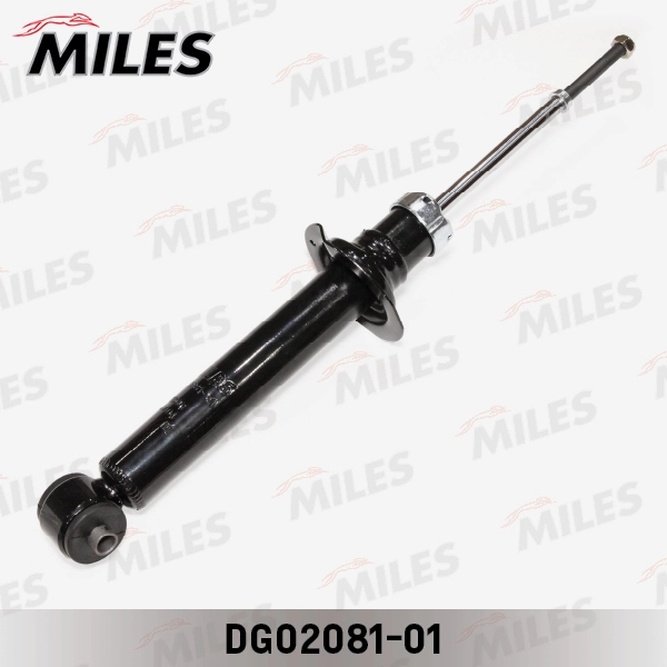 DG02081-01