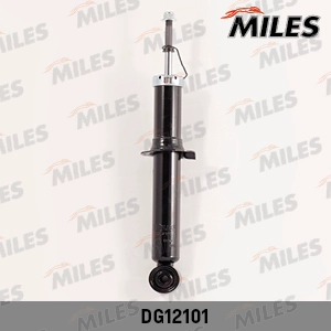 DG12101