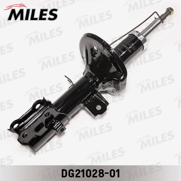 DG21028-01