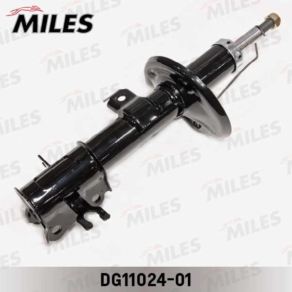 DG11024-01
