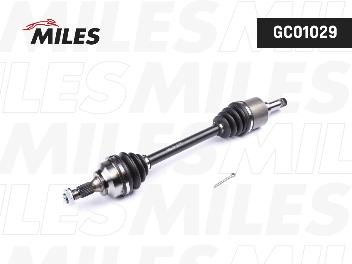 GC01029