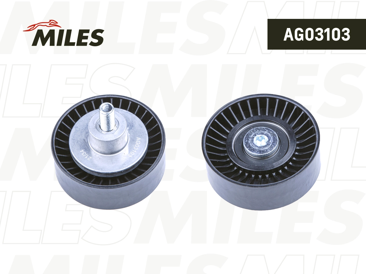 AG03103