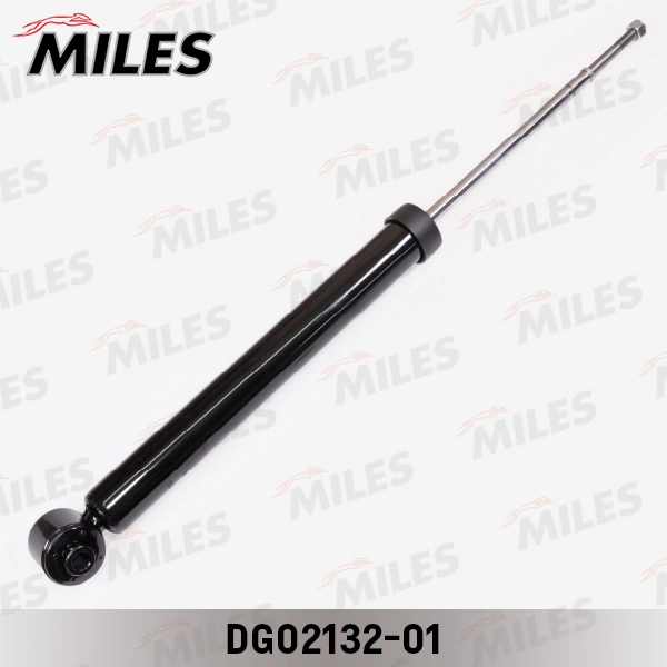 DG02132-01