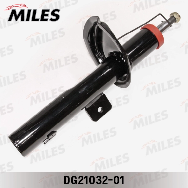 DG21032-01