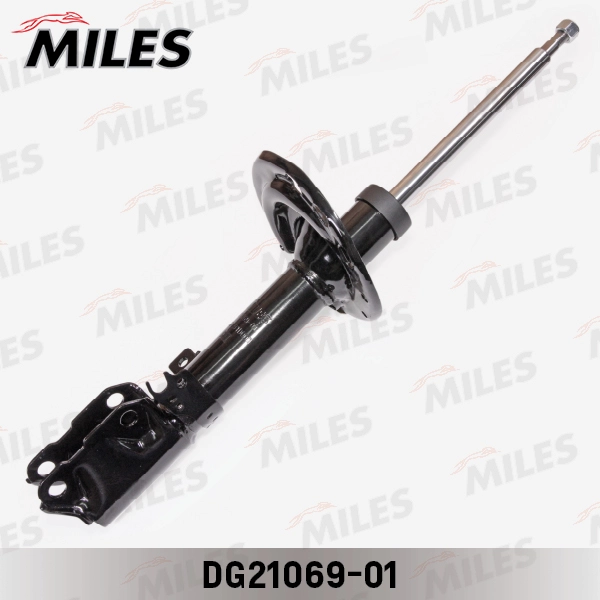 DG21069-01