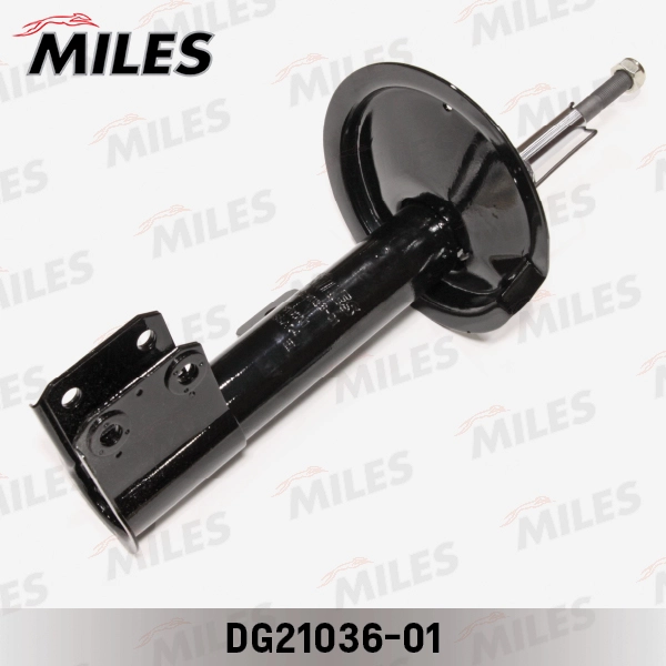 DG21036-01