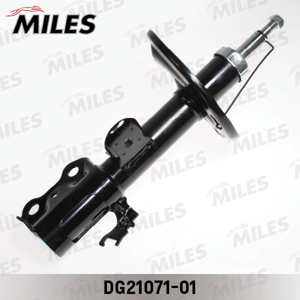DG21071-01