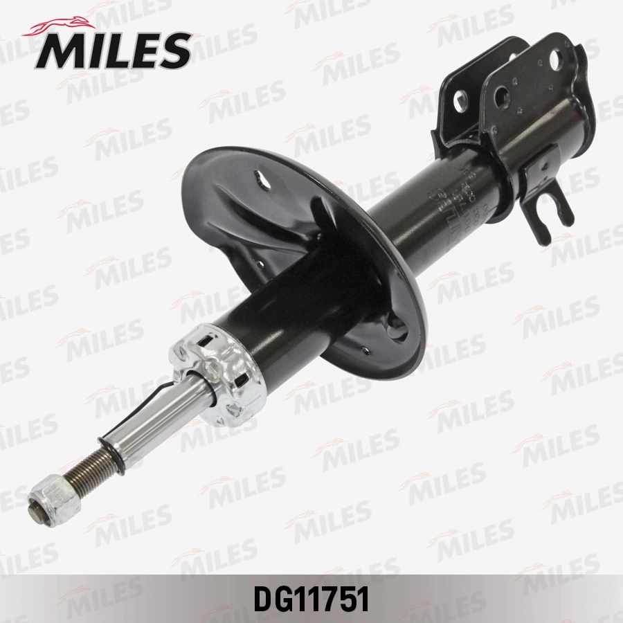DG11751