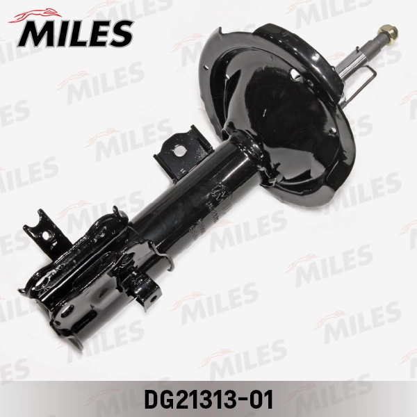 DG21313-01