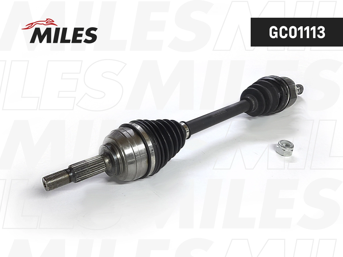 GC01113