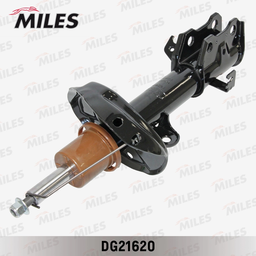 DG21620