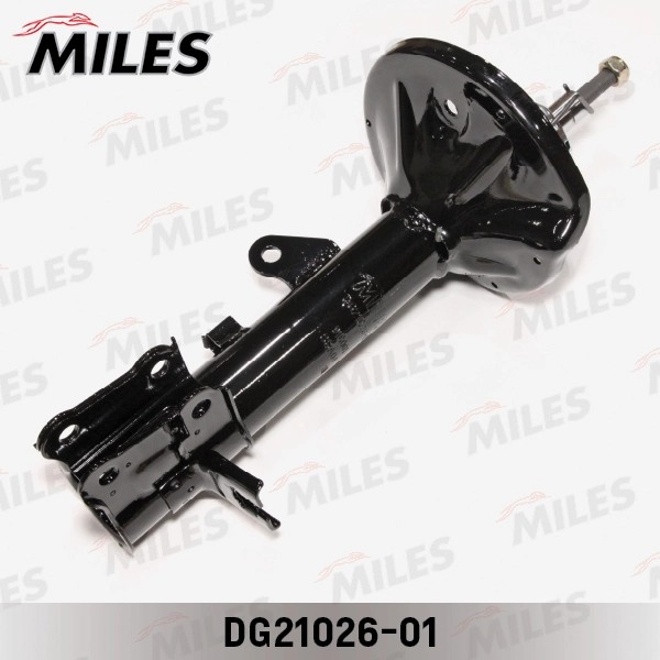 DG21026-01