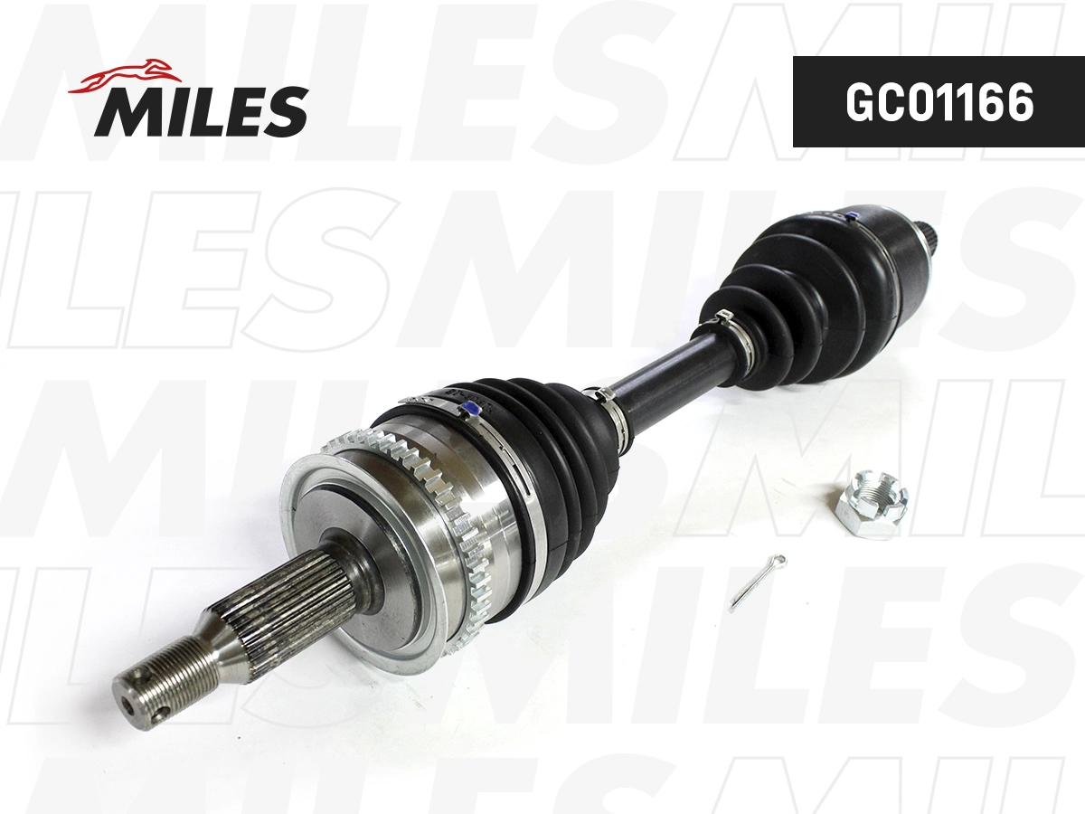 GC01166
