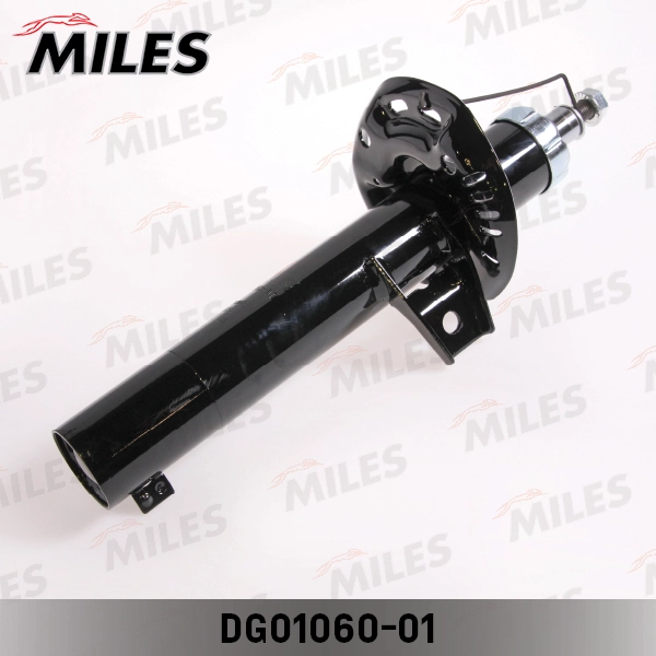 DG01060-01