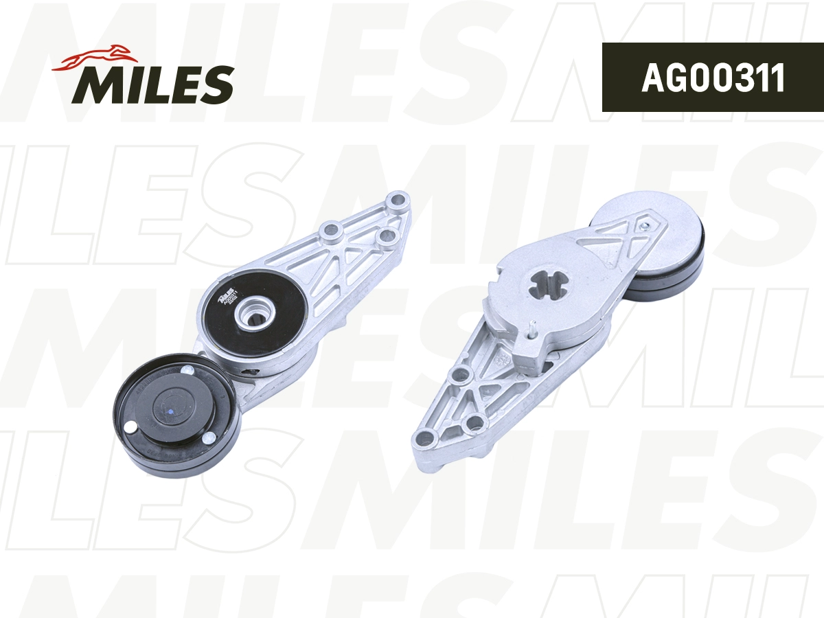 AG00311
