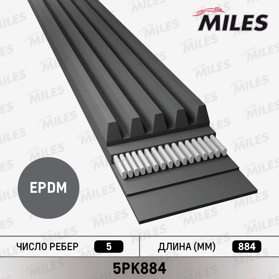 5PK884