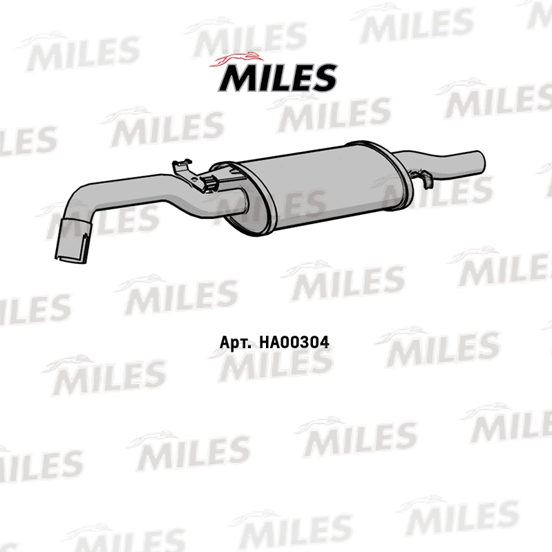 HA00304