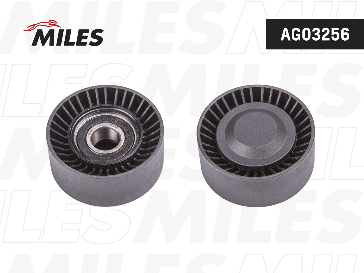 AG03256