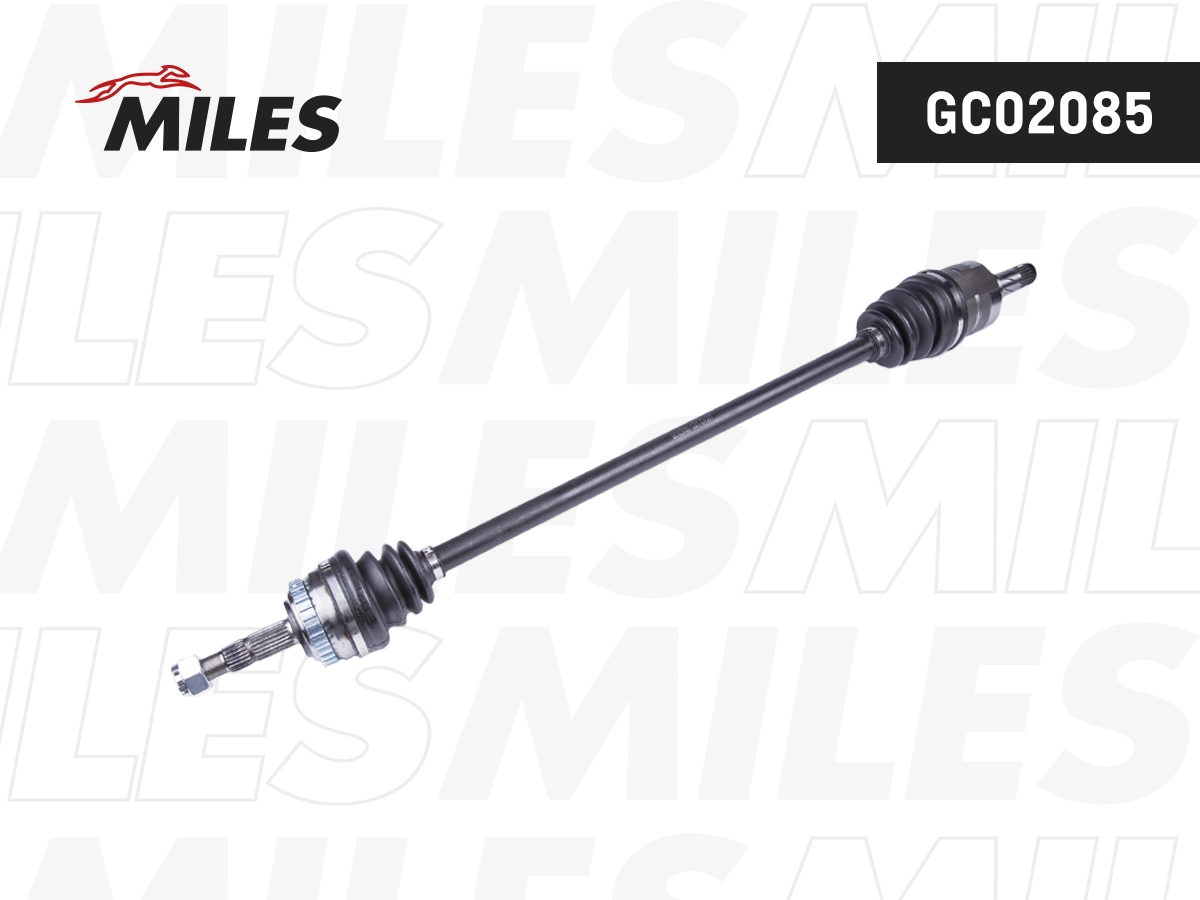 GC02085